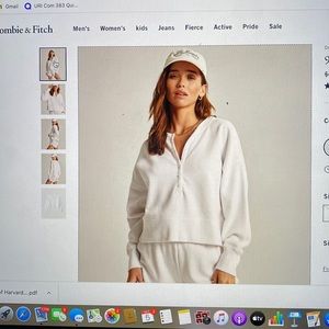 Abercrombie 90s Sharkbite Hoodie